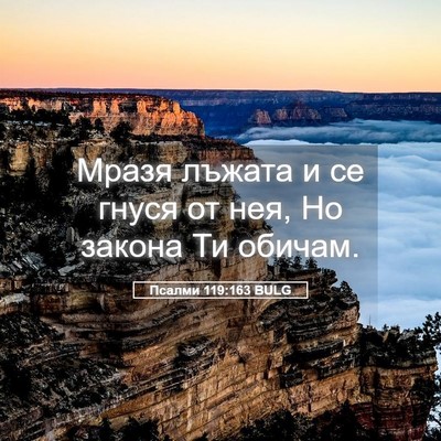 Picture 05 - Псалми 119:163 BULG - Мразя лъжата и се гнуся от - Bible Verse Picture