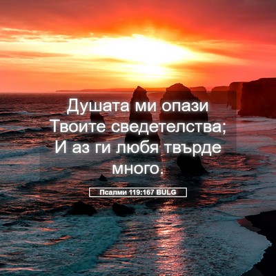 Picture 05 - Псалми 119:167 BULG - Душата ми опази Твоите - Bible Verse Picture
