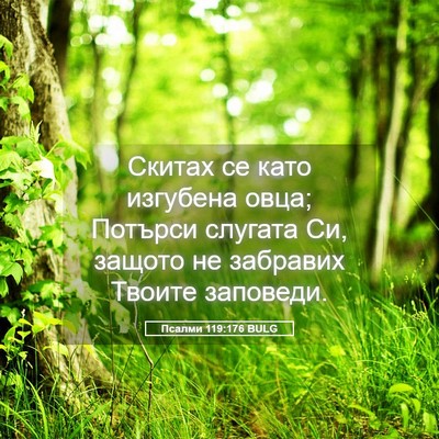 Picture 05 - Псалми 119:176 BULG - Скитах се като изгубена - Bible Verse Picture