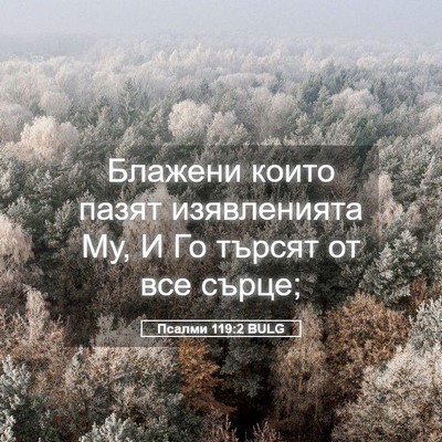 Picture 05 - Псалми 119:2 BULG - Блажени които пазят - Bible Verse Picture