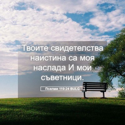 Picture 05 - Псалми 119:24 BULG - Твоите свидетелства - Bible Verse Picture
