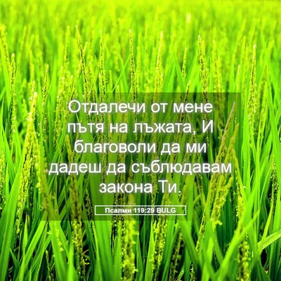 Picture 05 - Псалми 119:29 BULG - Отдалечи от мене пътя на - Bible Verse Picture