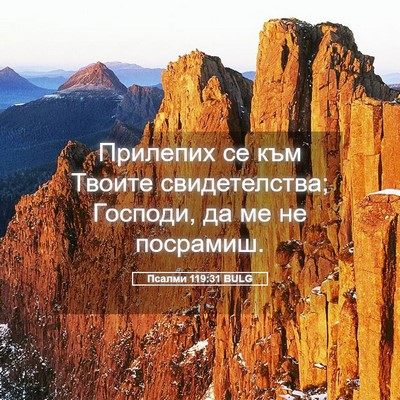 Picture 05 - Псалми 119:31 BULG - Прилепих се към Твоите - Bible Verse Picture