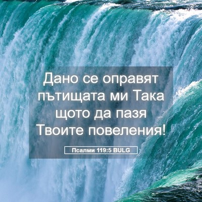 Picture 05 - Псалми 119:5 BULG - Дано се оправят пътищата - Bible Verse Picture