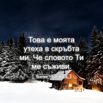 Picture 05 - Псалми 119:50 BULG - Това е моята утеха в - Bible Verse Picture