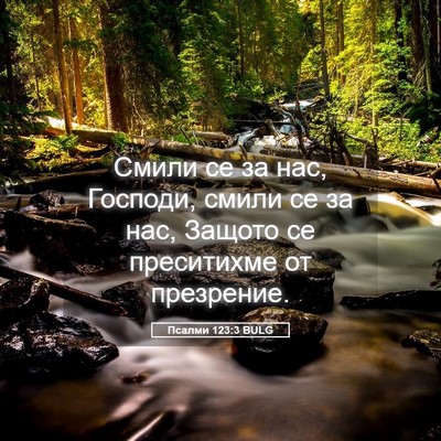 Picture 05 - Псалми 123:3 BULG - Смили се за нас, Господи, - Bible Verse Picture