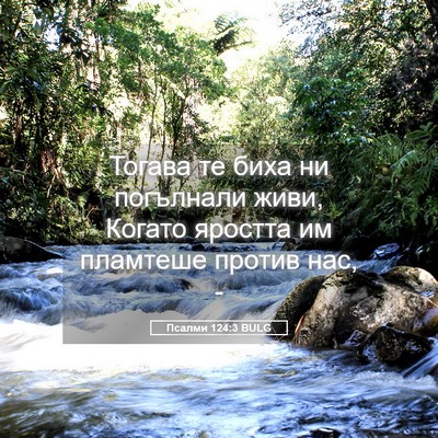 Picture 05 - Псалми 124:3 BULG - Тогава те биха ни - Bible Verse Picture