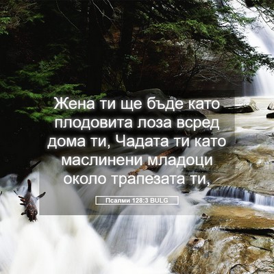 Picture 05 - Псалми 128:3 BULG - Жена ти ще бъде като - Bible Verse Picture