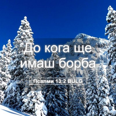 Picture 05 - Псалми 13:2 BULG - До кога ще имаш - Bible Verse Picture