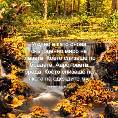 Picture 05 - Псалми 133:2 BULG - Угодно е като онова - Bible Verse Picture