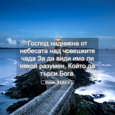 Picture 05 - Псалми 14:2 BULG - Господ надникна от - Bible Verse Picture
