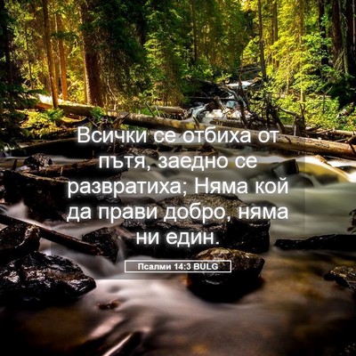 Picture 05 - Псалми 14:3 BULG - Всички се отбиха от пътя, - Bible Verse Picture