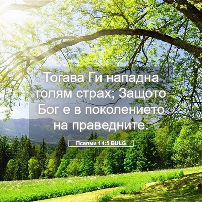 Picture 05 - Псалми 14:5 BULG - Тогава Ги нападна голям - Bible Verse Picture