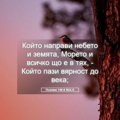 Picture 05 - Псалми 146:6 BULG - Който направи небето и - Bible Verse Picture