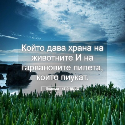 Picture 05 - Псалми 147:9 BULG - Който дава храна на - Bible Verse Picture