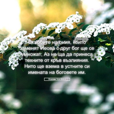 Picture 05 - Псалми 16:4 BULG - Скърбите на ония, които - Bible Verse Picture