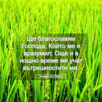 Picture 05 - Псалми 16:7 BULG - Ще благославям Господа, - Bible Verse Picture