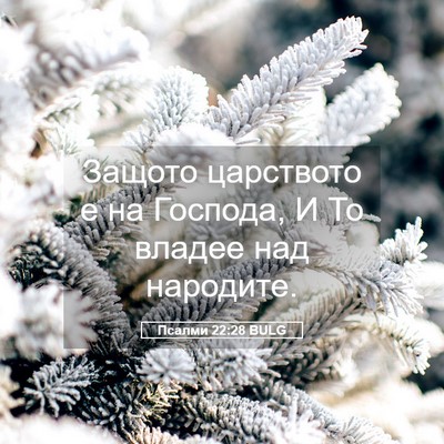 Picture 05 - Псалми 22:28 BULG - Защото царството е на - Bible Verse Picture