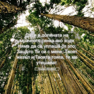 Picture 05 - Псалми 23:4 BULG - Да! и в долината на - Bible Verse Picture