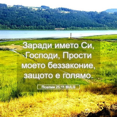 Picture 05 - Псалми 25:11 BULG - Заради името Си, Господи, - Bible Verse Picture
