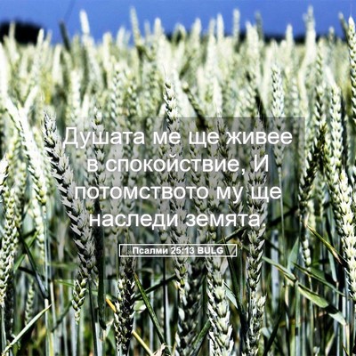 Picture 05 - Псалми 25:13 BULG - Душата ме ще живее в - Bible Verse Picture
