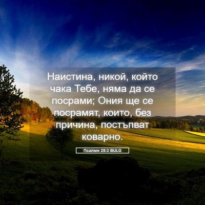 Picture 05 - Псалми 25:3 BULG - Наистина, никой, който чака - Bible Verse Picture