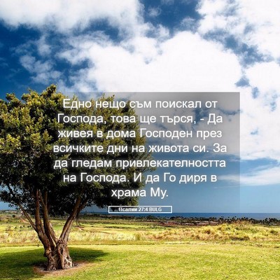 Picture 05 - Псалми 27:4 BULG - Едно нещо съм поискал от - Bible Verse Picture