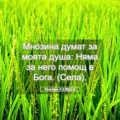 Picture 05 - Псалми 3:2 BULG - Мнозина думат за моята - Bible Verse Picture