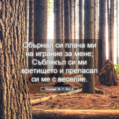 Picture 05 - Псалми 30:11 BULG - Обърнал си плача ми на - Bible Verse Picture
