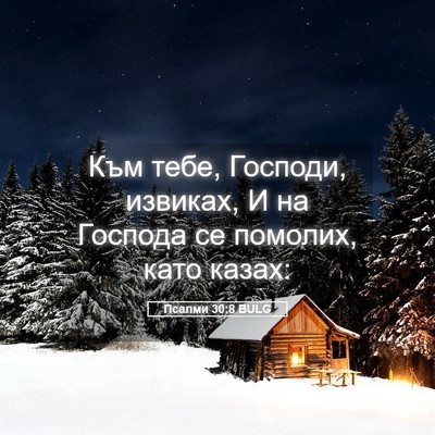 Picture 05 - Псалми 30:8 BULG - Към тебе, Господи, извиках, - Bible Verse Picture
