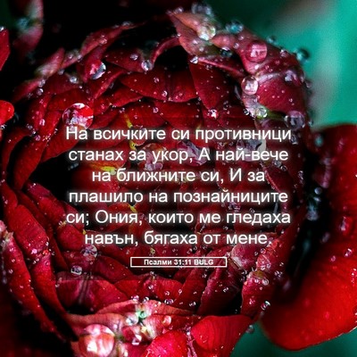 Picture 05 - Псалми 31:11 BULG - На всичките си противници - Bible Verse Picture