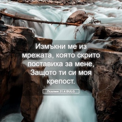 Picture 05 - Псалми 31:4 BULG - Измъкни ме из мрежата, - Bible Verse Picture