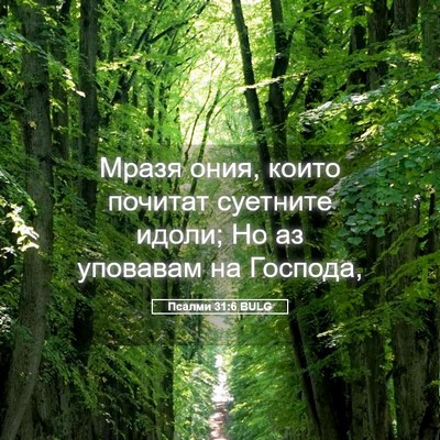 Picture 05 - Псалми 31:6 BULG - Мразя ония, които почитат - Bible Verse Picture