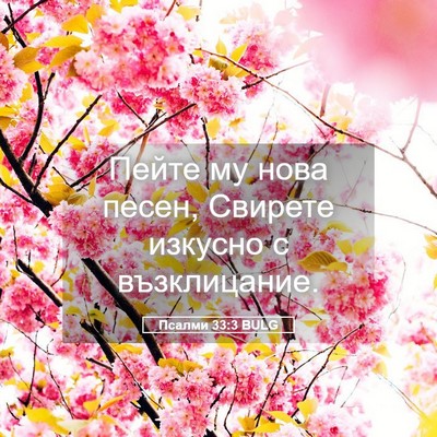 Picture 05 - Псалми 33:3 BULG - Пейте му нова песен, - Bible Verse Picture