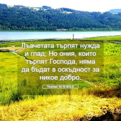 Picture 05 - Псалми 34:10 BULG - Лъвчетата търпят нужда и - Bible Verse Picture