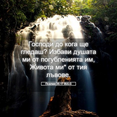 Picture 05 - Псалми 35:17 BULG - Господи до кога ще гледаш? - Bible Verse Picture