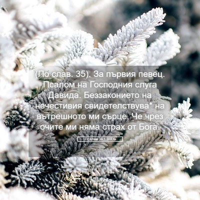 Picture 05 - Псалми 36:1 BULG - (По слав. 35). За първия - Bible Verse Picture