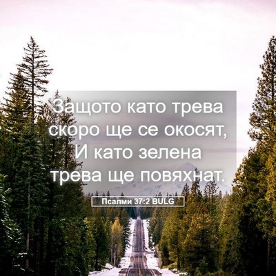 Picture 05 - Псалми 37:2 BULG - Защото като трева скоро ще - Bible Verse Picture