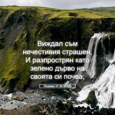 Picture 05 - Псалми 37:35 BULG - Виждал съм нечестивия - Bible Verse Picture