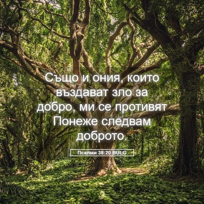Picture 05 - Псалми 38:20 BULG - Също и ония, които въздават - Bible Verse Picture