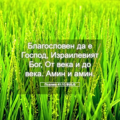 Picture 05 - Псалми 41:13 BULG - Благословен да е Господ, - Bible Verse Picture