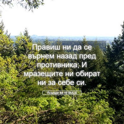 Picture 05 - Псалми 44:10 BULG - Правиш ни да се върнем - Bible Verse Picture