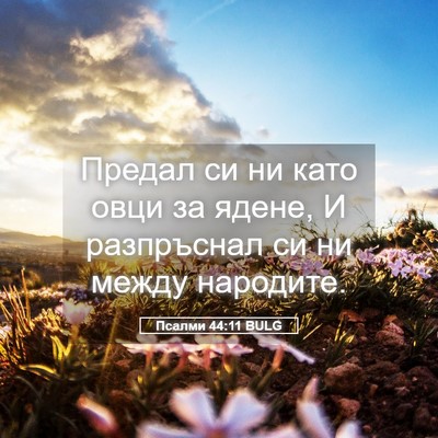 Picture 05 - Псалми 44:11 BULG - Предал си ни като овци за - Bible Verse Picture