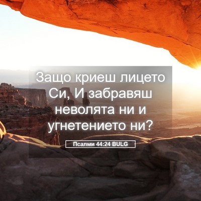 Picture 05 - Псалми 44:24 BULG - Защо криеш лицето Си, И - Bible Verse Picture