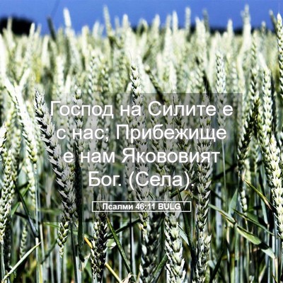Picture 05 - Псалми 46:11 BULG - Господ на Силите е с нас; - Bible Verse Picture