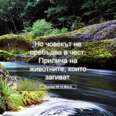 Picture 05 - Псалми 49:12 BULG - Но човекът не пребъдва в - Bible Verse Picture