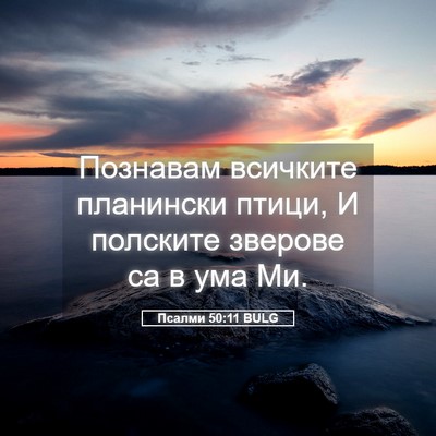 Picture 05 - Псалми 50:11 BULG - Познавам всичките - Bible Verse Picture