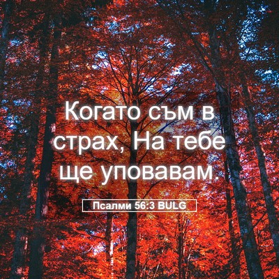 Picture 05 - Псалми 56:3 BULG - Когато съм в страх, На тебе - Bible Verse Picture