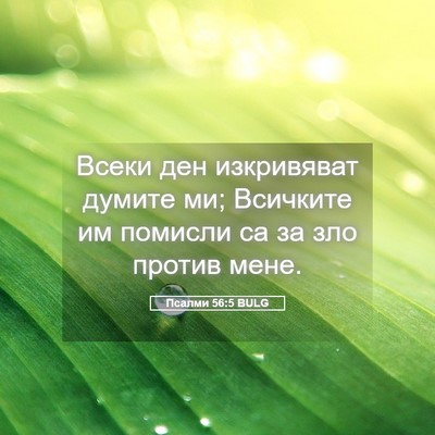 Picture 05 - Псалми 56:5 BULG - Всеки ден изкривяват - Bible Verse Picture