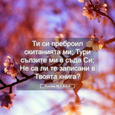 Picture 05 - Псалми 56:8 BULG - Ти си преброил скитанията - Bible Verse Picture